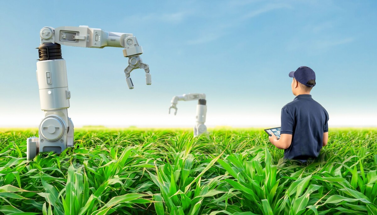 Robots on the Farm: Can Autonomous Machines Really Make Agriculture Safer and More Sustainable?