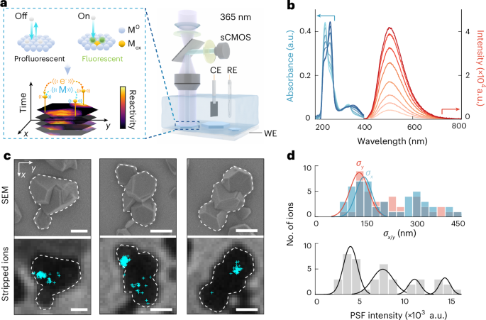 From First In‑Body Gene Editing to Single-Cell Maps: How New Tools Are Quietly Rewiring Future Medicine