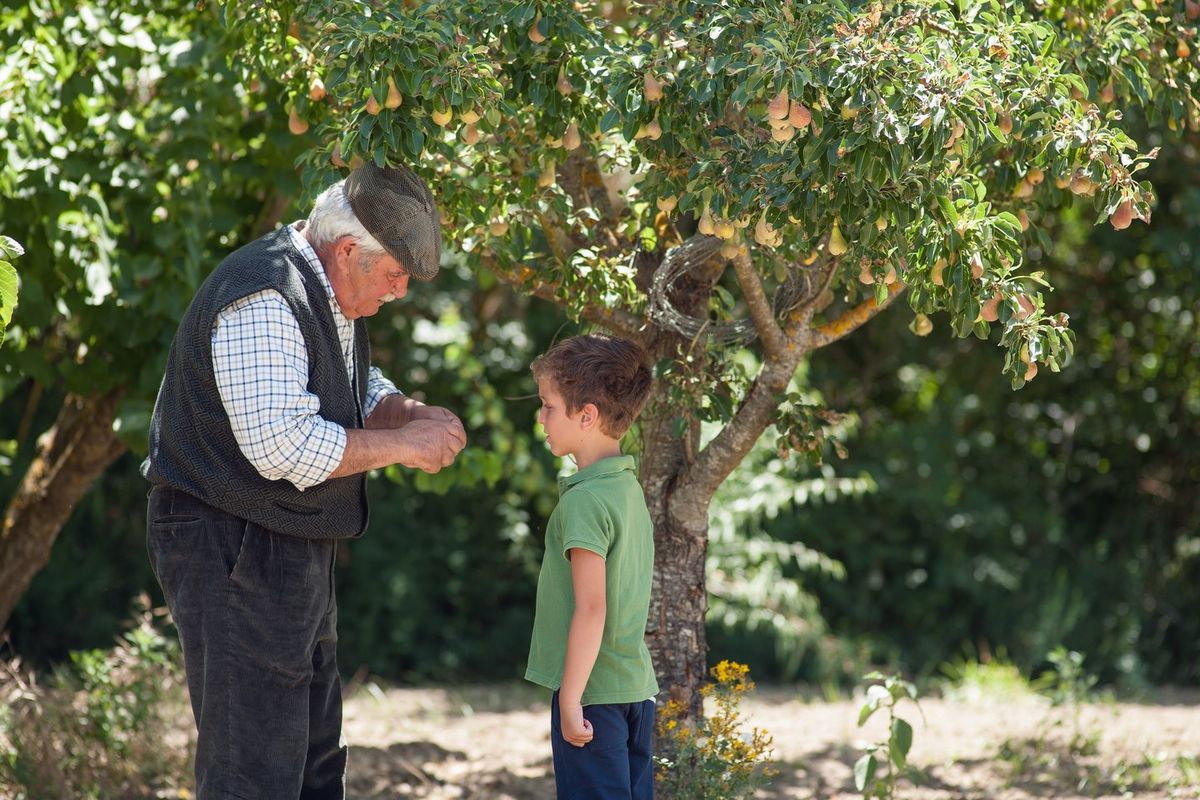 Unlocking Longevity: 11 Dietary Secrets from the World’s Blue Zones