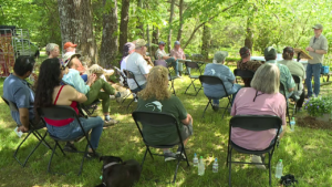 Why Your Body and Mind Crave Green Spaces: The Real Health Benefits of Spending Time in Nature