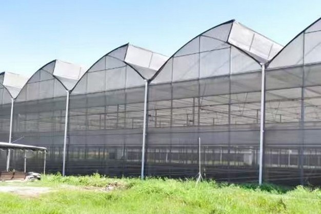 The Hidden Materials Behind Your Veggies: How Agro Textiles and Polymers Are Changing Farming
