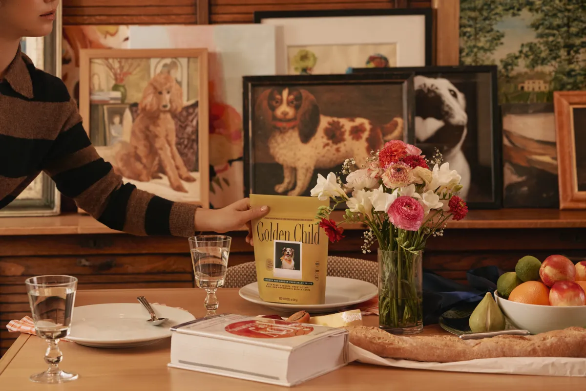 Exploring the Rise of High-End Dog Food: Is It Worth the Investment?
