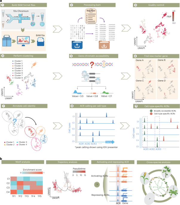AI That Reads Tumors Cell by Cell: How Single-Cell Tools Could Transform Cancer Care