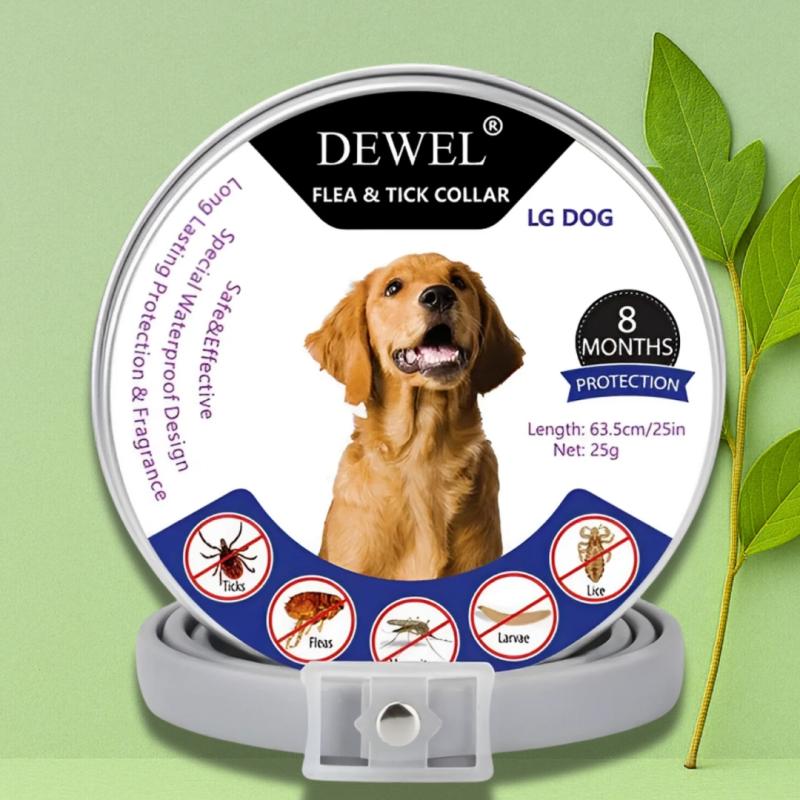 How DEWEL is Revolutionizing Flea Protection for Dogs in 2026