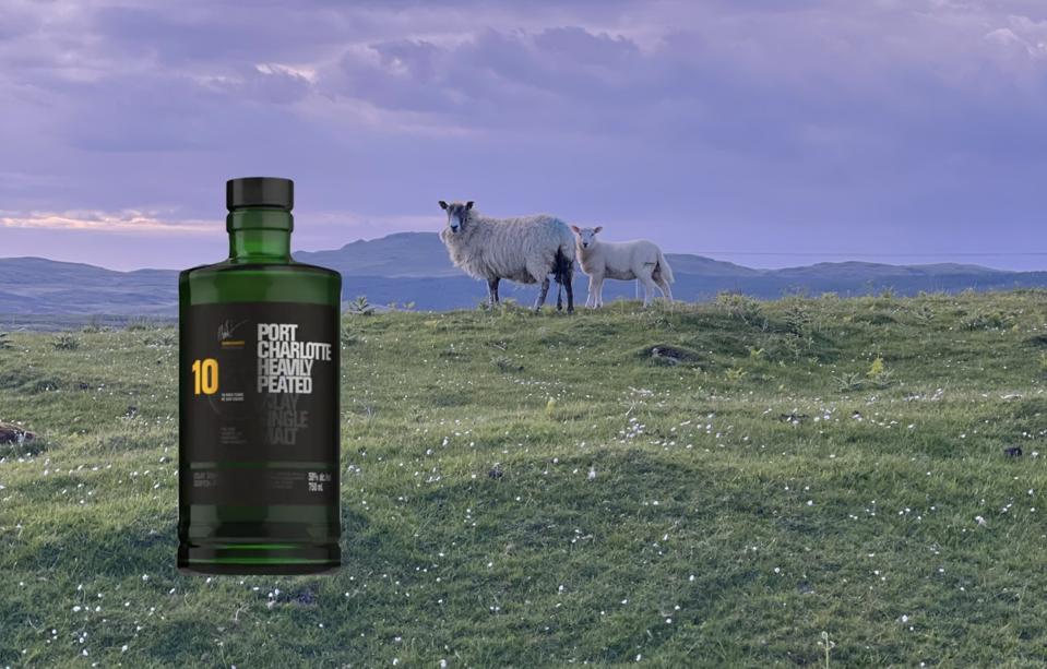 World’s Best Single Malts in 2026: How a $450 Bowmore and an Irish Upstart Are Redefining Luxury Whisky