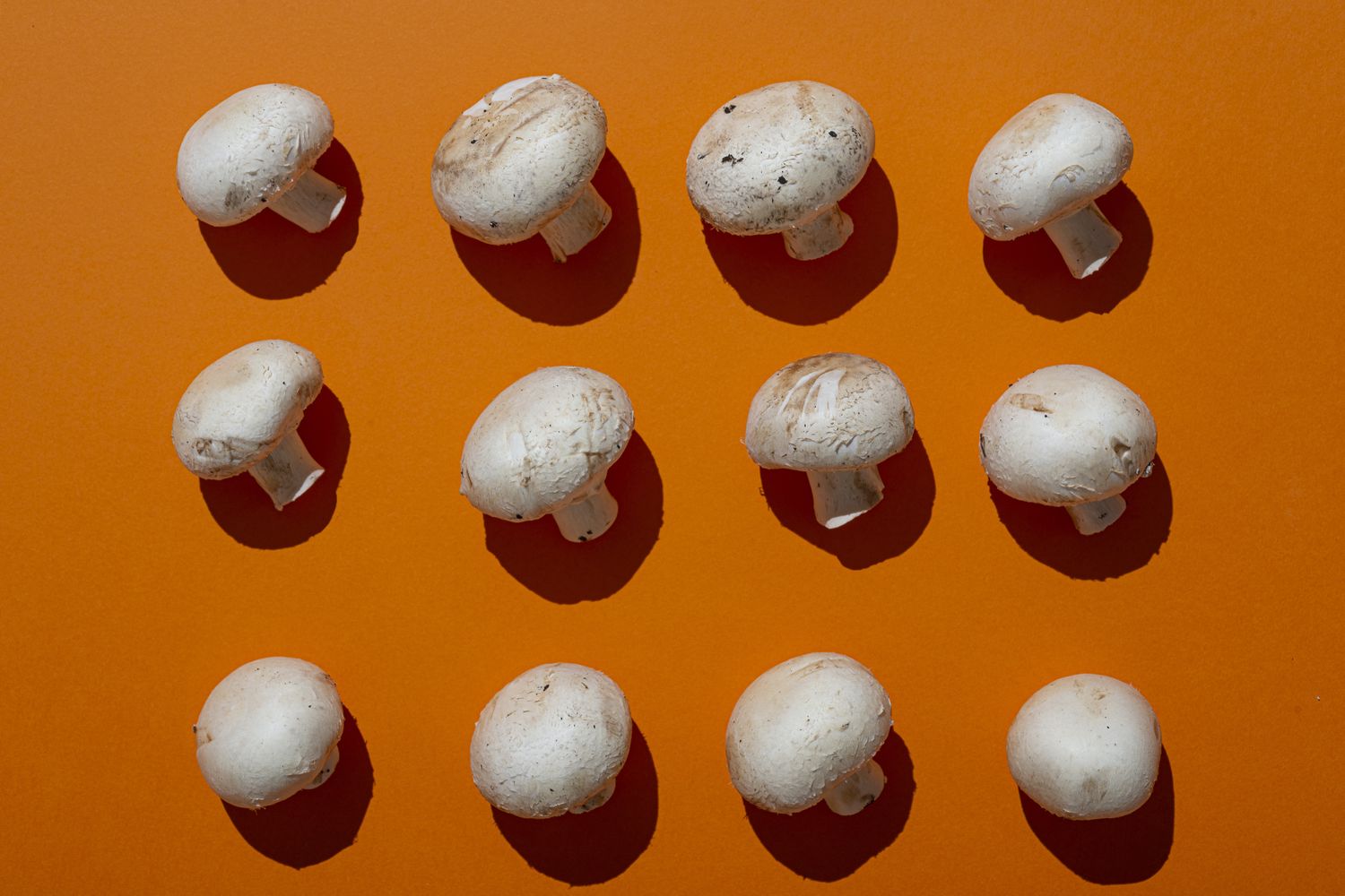 Why Mushrooms Are the Ultimate Indoor Plant Protein for Your Diet