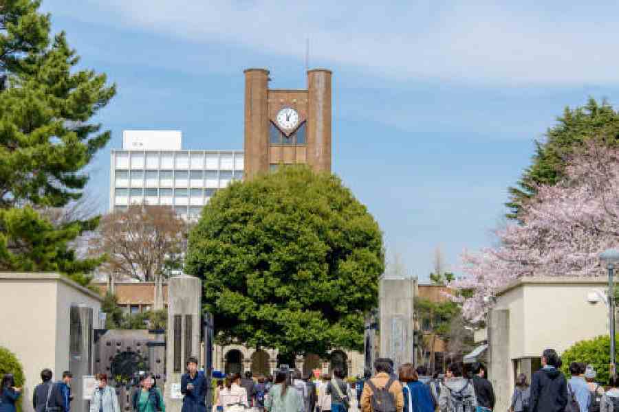 From Akihabara to Real-Life Anime Schools: The Coolest Japan Pilgrimage Spots for Malaysian Otaku
