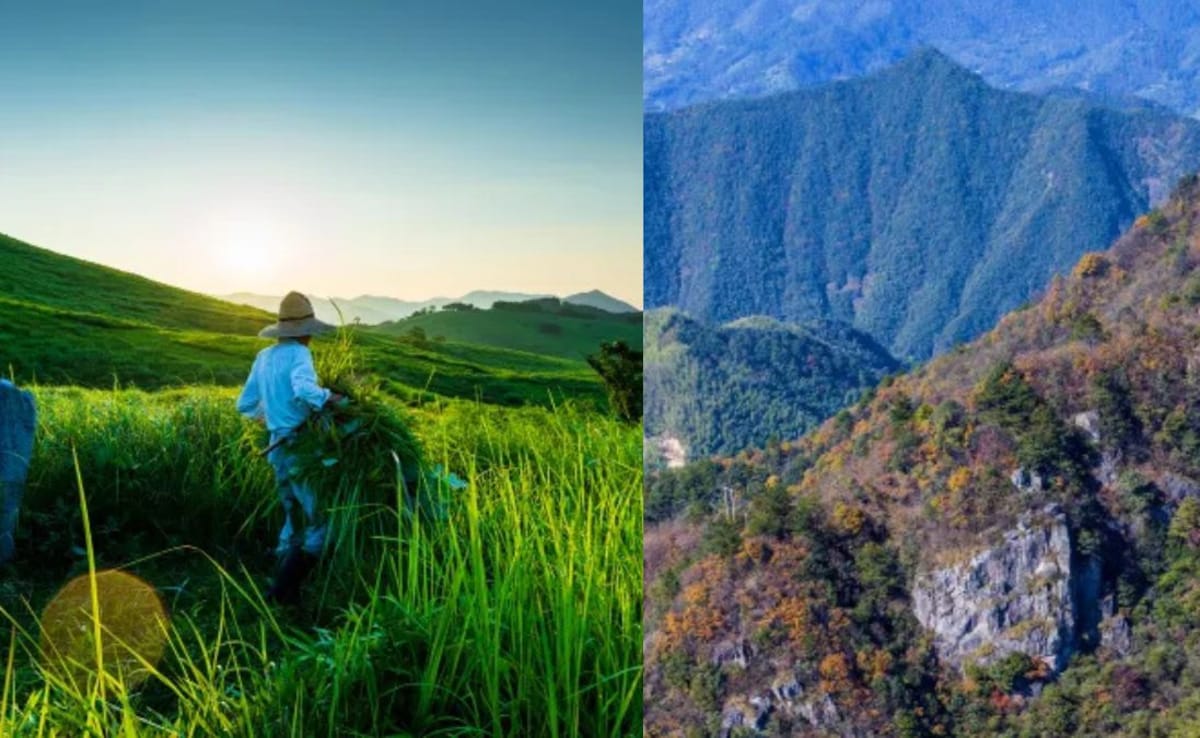 Beyond Genting: Top Family Trips in Asia From Shanghai Disneyland to Malaysia’s New UNESCO Geopark