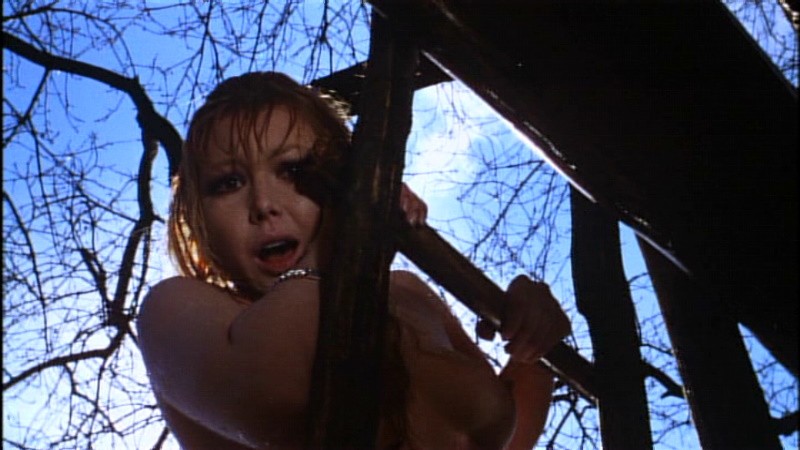 Scary and (Almost) Free: 5 Horror Movies to Stream Before They Disappear