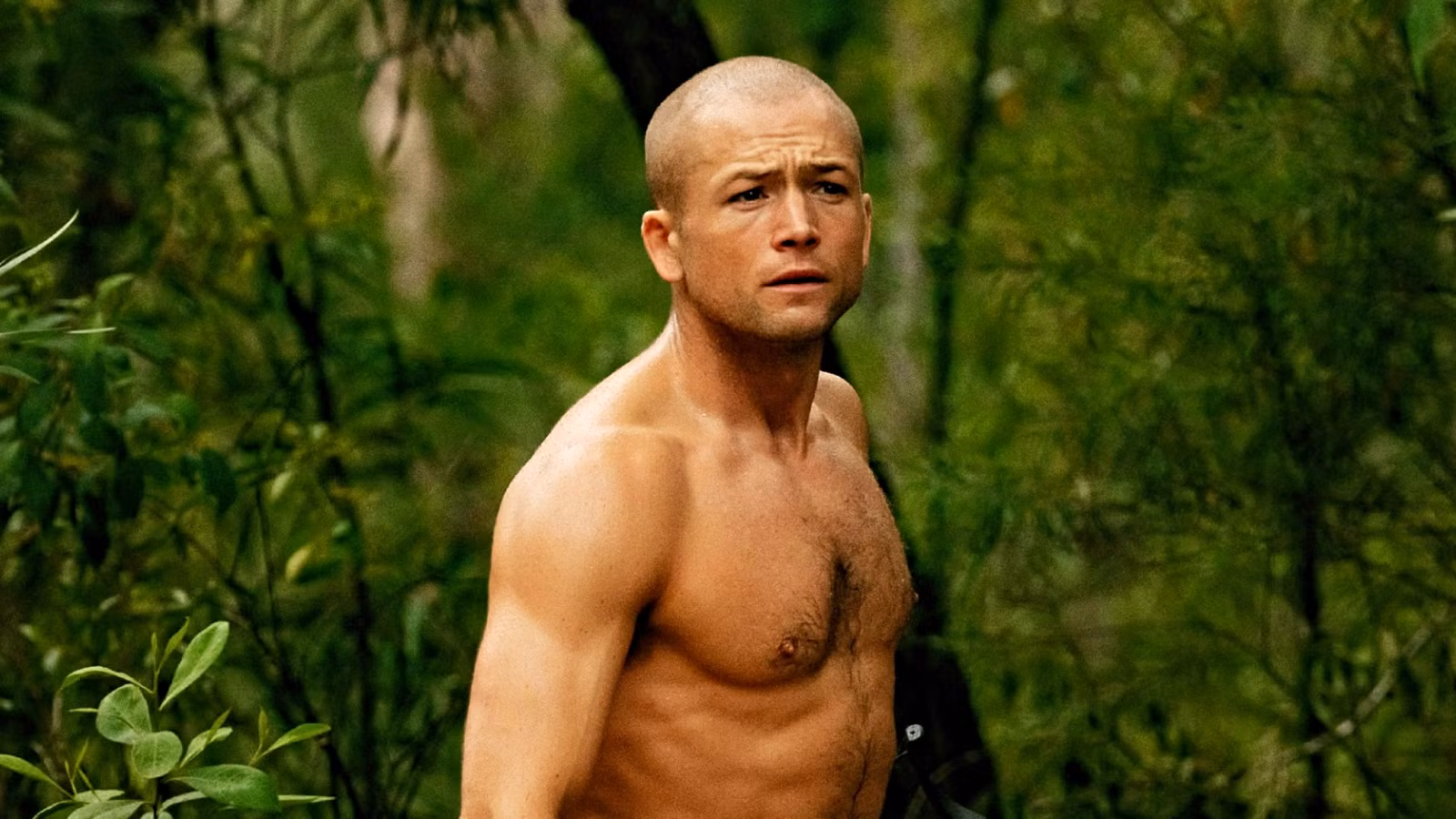 When Online Rage Hits the Big Screen: How Review‑Bombing Skews Action Movie Ratings