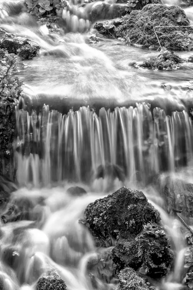 Stop Wasting Weekends: Simple Tricks to Instantly Improve Your People and Landscape Photos