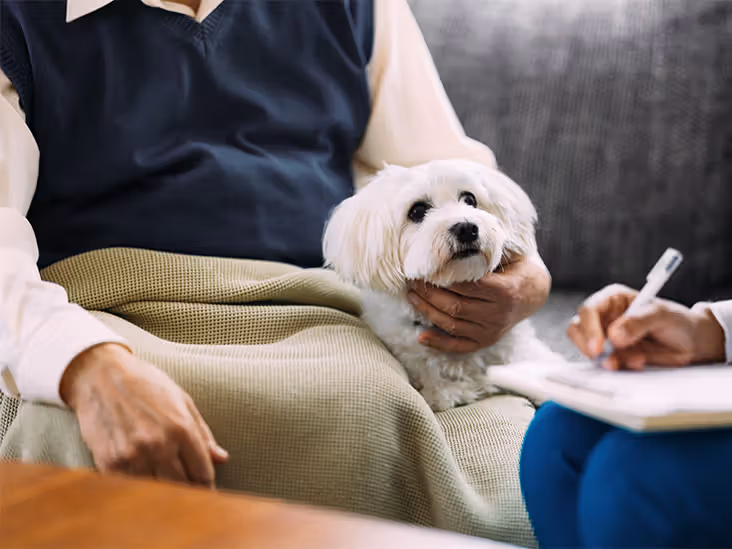 Essential Tips for Treating and Preventing Heartworm Disease in Dogs