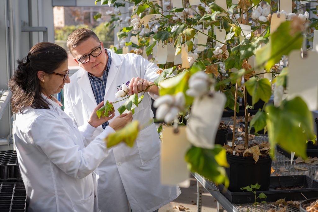 From Eco Denim to Lab-Backed Cotton: How ‘Sustainable Jeans’ Are Leveling Up