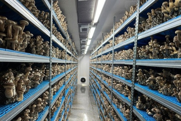 The Hidden Materials Behind Your Veggies: How Agro Textiles and Polymers Are Changing Farming