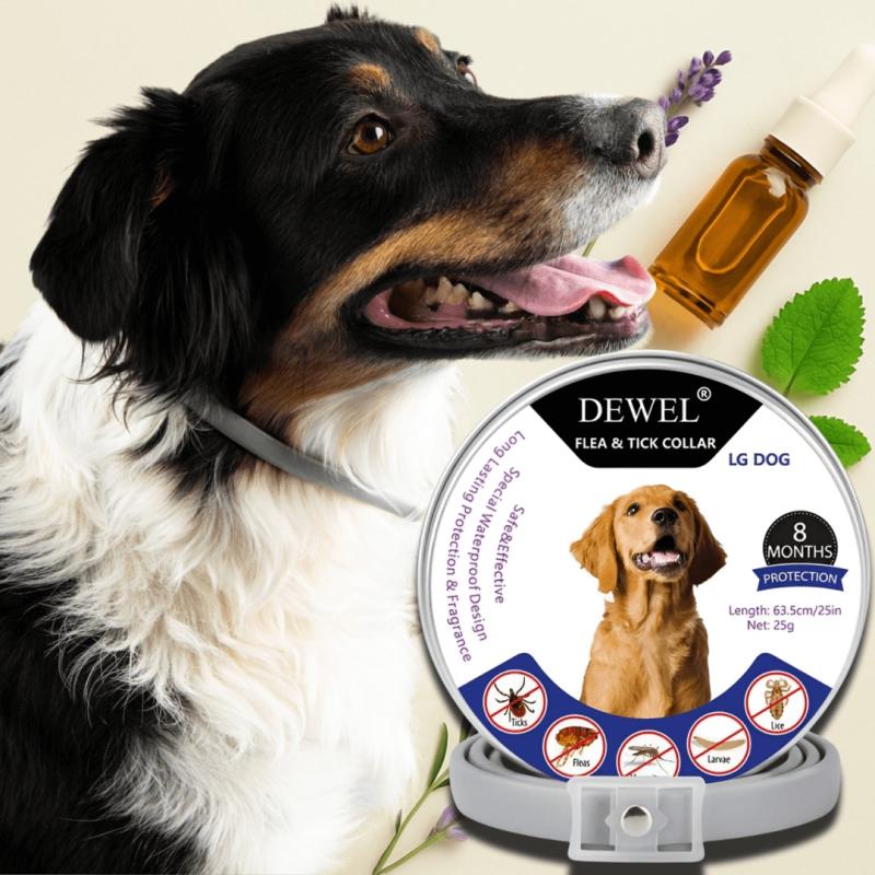 Why Natural Flea Collars Are the Future of Dog Care in 2026