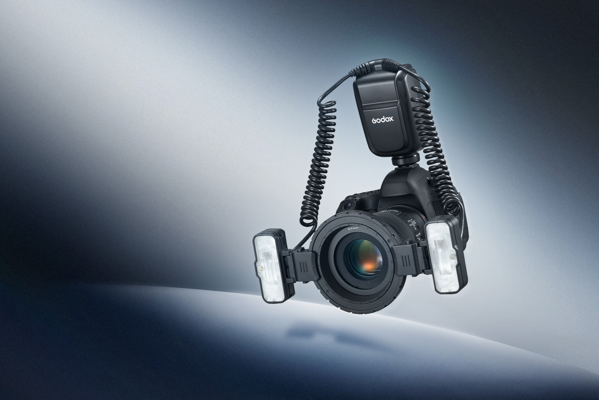 Serious About Macro and Editing? How a Twin Flash and a Colour-Accurate Monitor Can Transform Your Photos