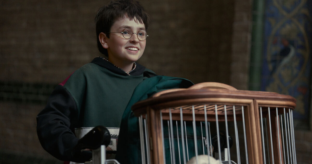The Ethical Dilemma: Should Millennials Embrace the Harry Potter Reboot?
