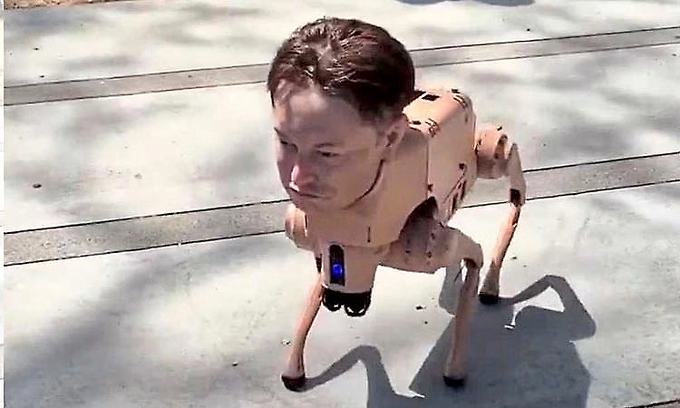 Why an Elon Musk‑Faced Robot Dog Went Viral — And What It Says About Our Fear of ‘Mech Pets’
