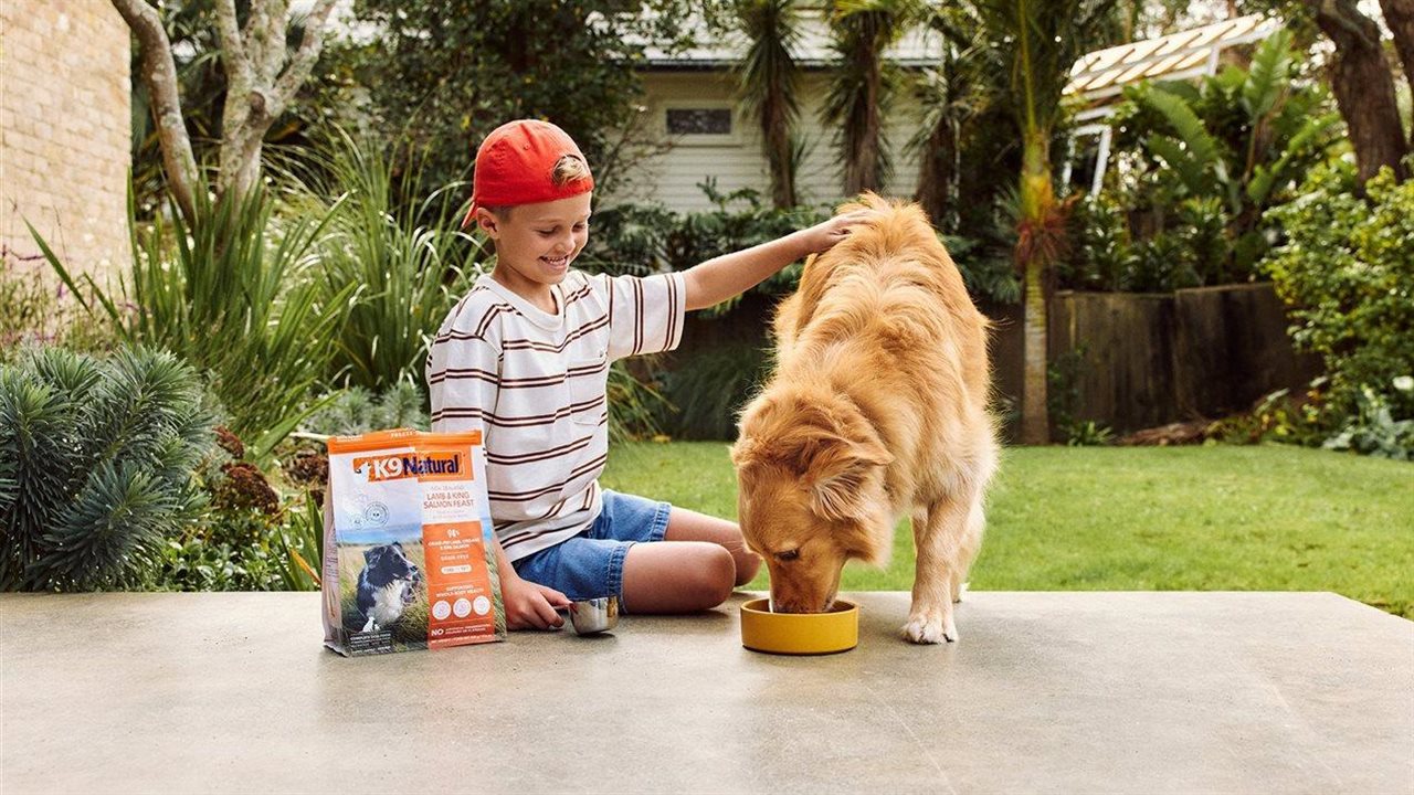 Grain-Free Dog Food and Heart Disease: What Malaysian Pet Owners Should Know