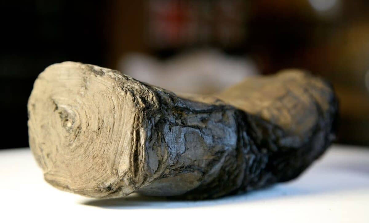 When AI Reads Burned Scrolls and Finds New Drugs: Turning Algorithms into Discovery Engines