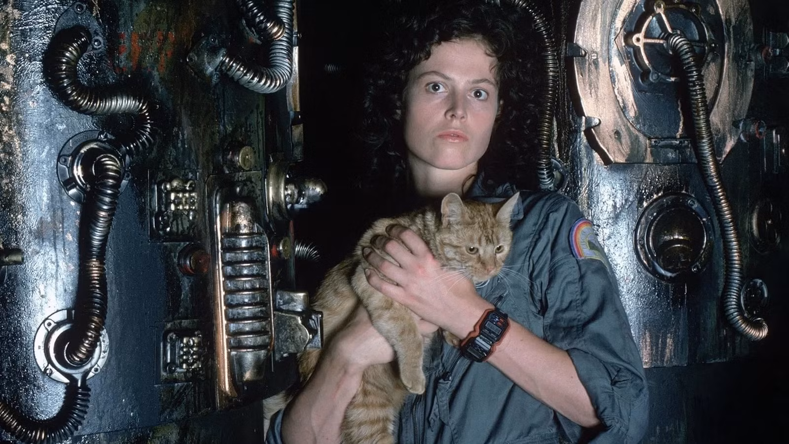 Waiting for J.J. Abrams’ ‘The Great Beyond’? Watch These 5 Wonder‑Filled Sci‑Fi Films First