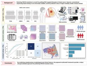 MatterChat Shows How Multimodal LLMs Can Speed Up Materials Discovery, Not Just Chat With You