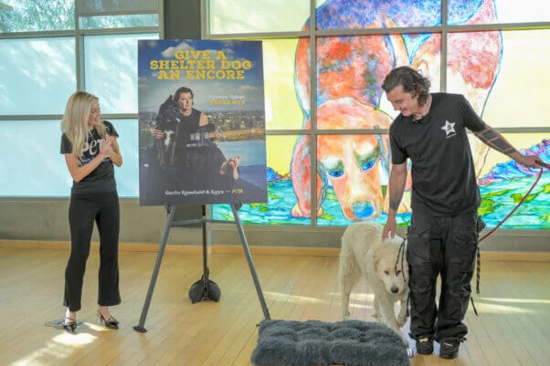 Thinking of Getting a Dog? Why Adopting a Rescue Can Change Both Your Lives