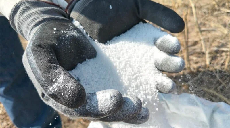 How War-Driven Fertiliser Shocks Could Change the Taste of Our Cultural Food Traditions