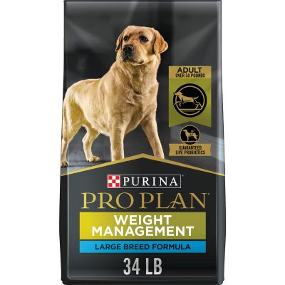 Best Dog Food for Diabetic Dogs: How to Pick Safely and Save on Vet Bills