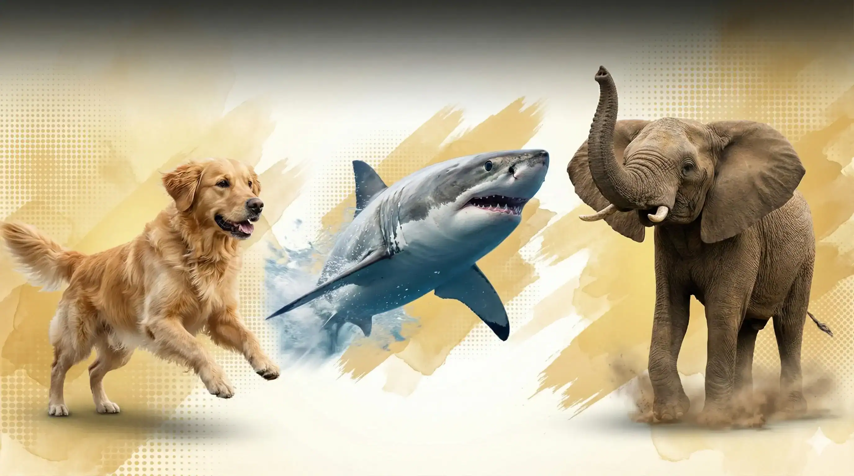 Living in a Condo With a Dog? 12 Indoor‑Friendly Breeds and How to Keep Them Happy in Malaysia