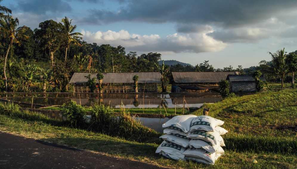 What the Middle East Food Crisis Teaches Malaysia About Agroecology and Farm Resilience