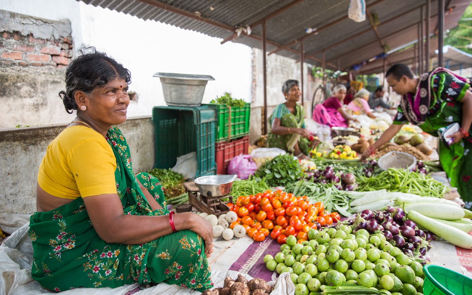 Why Lower-Intensity Coconut Farming Could Mean Better Yields, Healthier Soil and More Profits