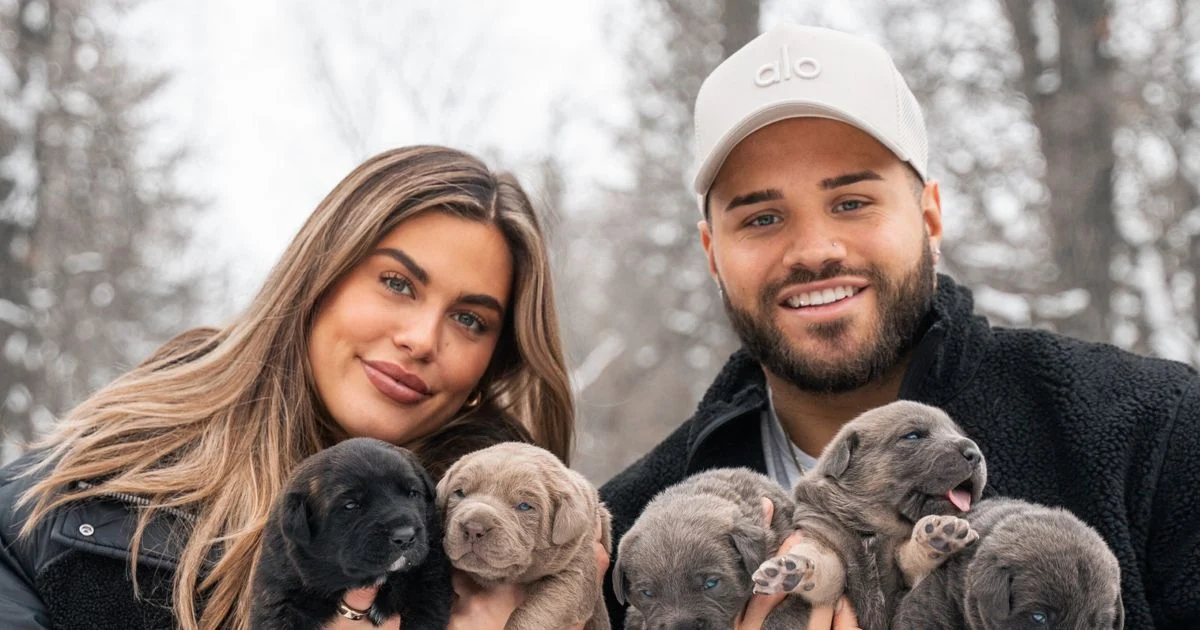 Thinking of Getting a Dog? Why Adopting a Rescue Can Change Both Your Lives