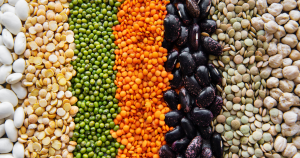 When Your Salad Makes Everyone Uncomfortable: The Social Psychology Behind Plant-Based Choices at the Table
