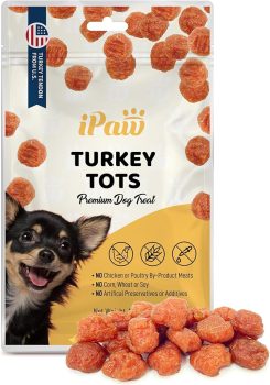 Natural Dog Treats: What “All‑Natural” Really Means and How to Pick Safer Snacks for Your Pup