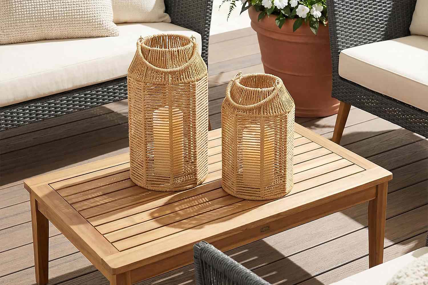 This Affordable Aldi Find Turns Any Corner into a Stylish Indoor Garden