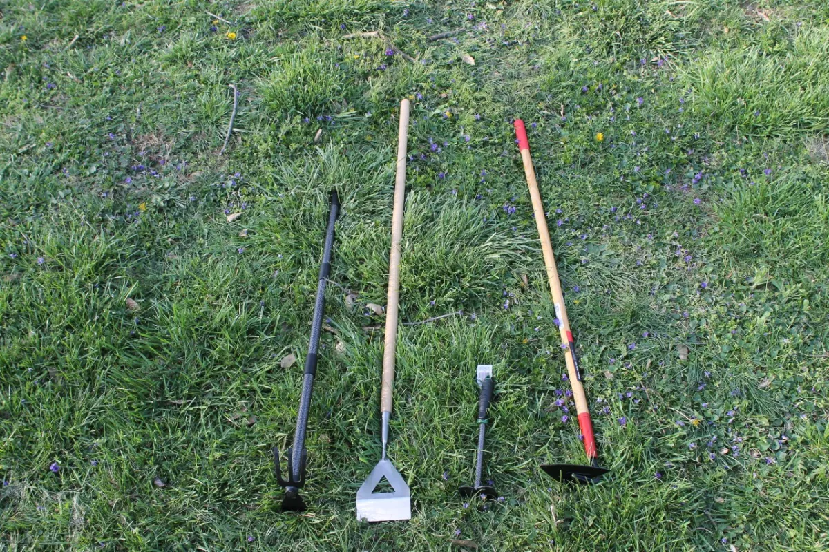 Essential Hand Tools for 2026: The Best Garden Hoes, Socket Sets and More for Malaysian DIYers