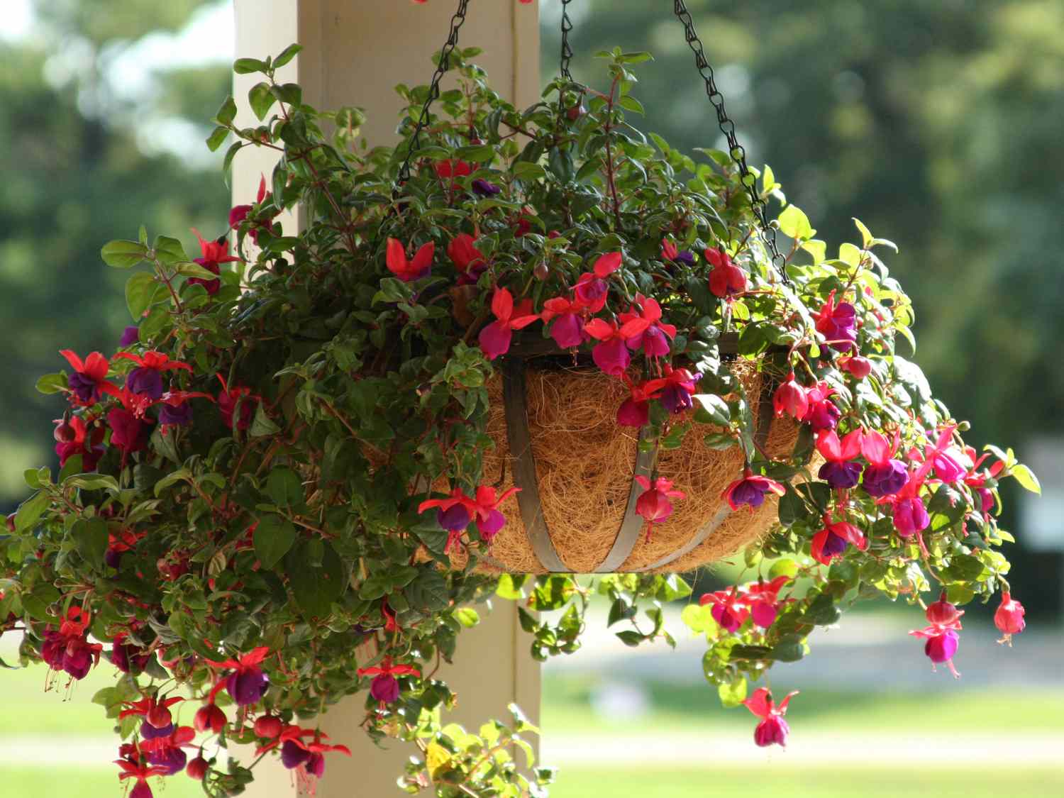Spring Reset for Your Sunroom Garden: 5 Indoor Plant Tweaks to Stop Leaf Drop and Stress