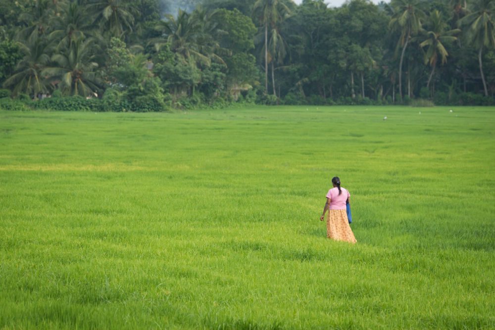 The Best Islands to Visit Each Month of the Year (With Ideas Close to Malaysia)
