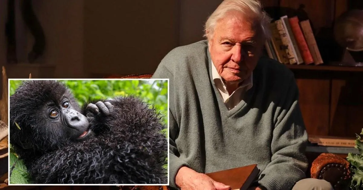 David Attenborough’s New Gorilla Documentary Is Quietly Streaming — Here’s Why It Still Hits Hard