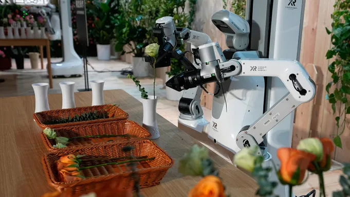 Wall‑B Wants to Be Your New Housemate: Humanoid vs Robot Dog in the Home Helper Race