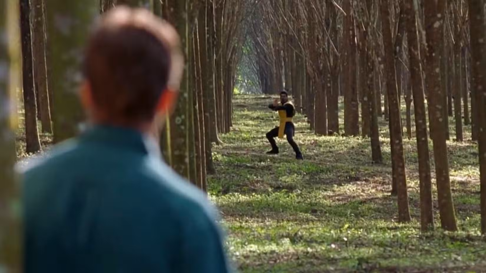 Tak Sabar Tunggu The New Street Fighter Movie? Build Your Ultimate Fight-Film Watchlist First