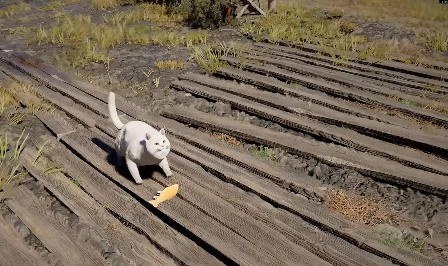 Crimson Desert Pets 101: Full Companion List, Fast Taming Tricks and How to Gear Them Up