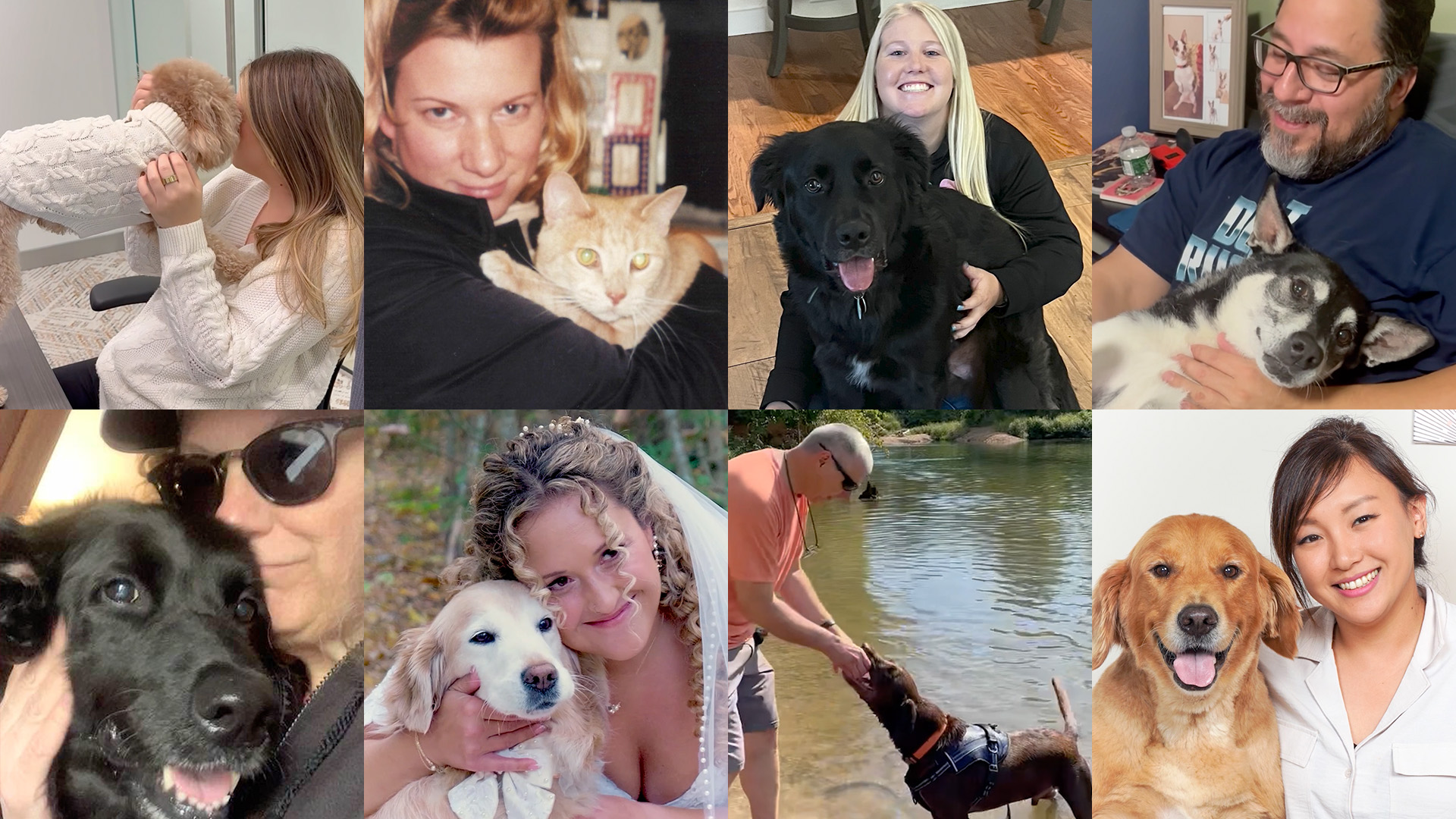 From Luxury to Everyday Essential: Why Pet Grooming Is Becoming a Multi-Billion Dollar Habit