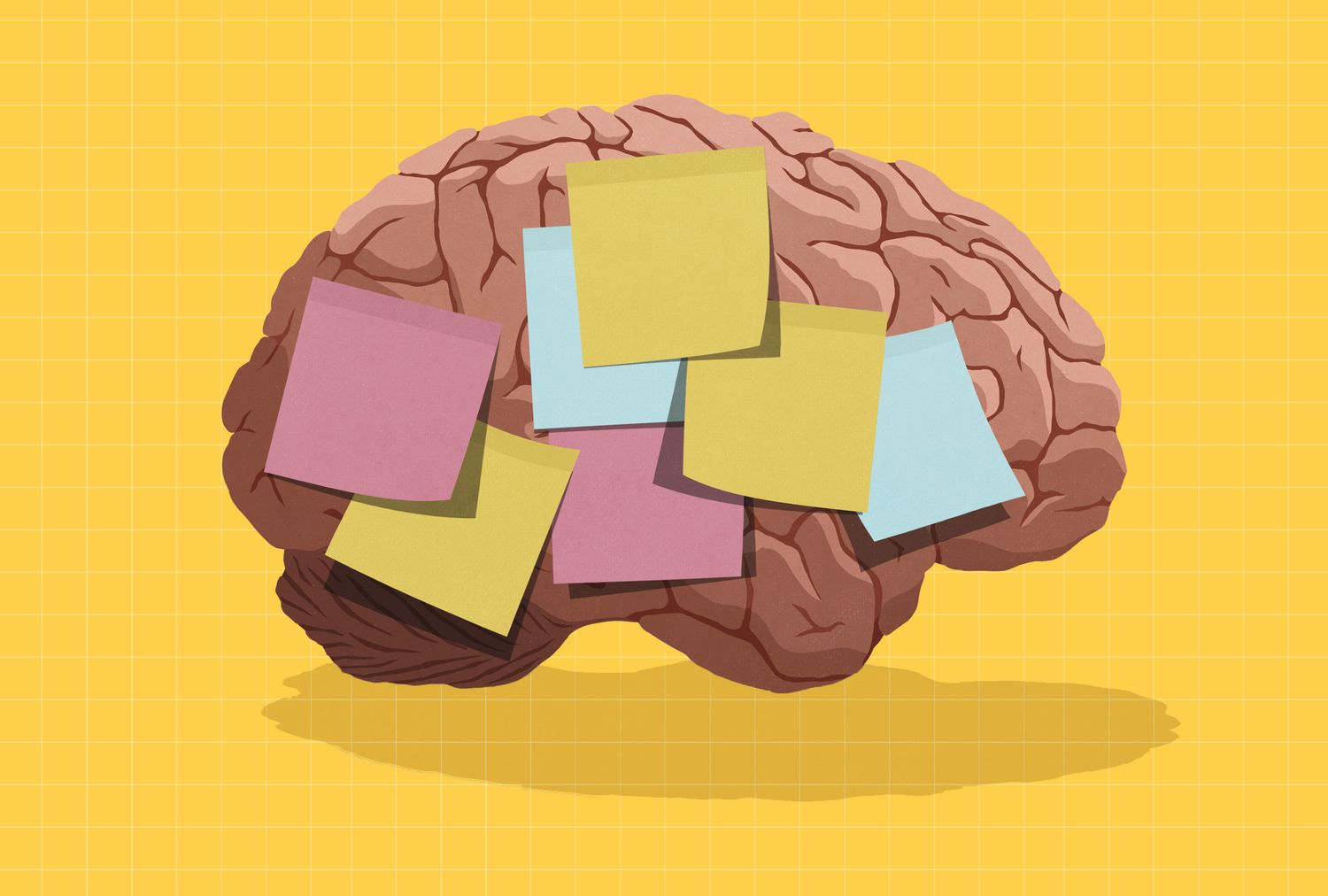 Plant-Based Done Right: How Smarter Veg Meals Protect Your Heart and Brain