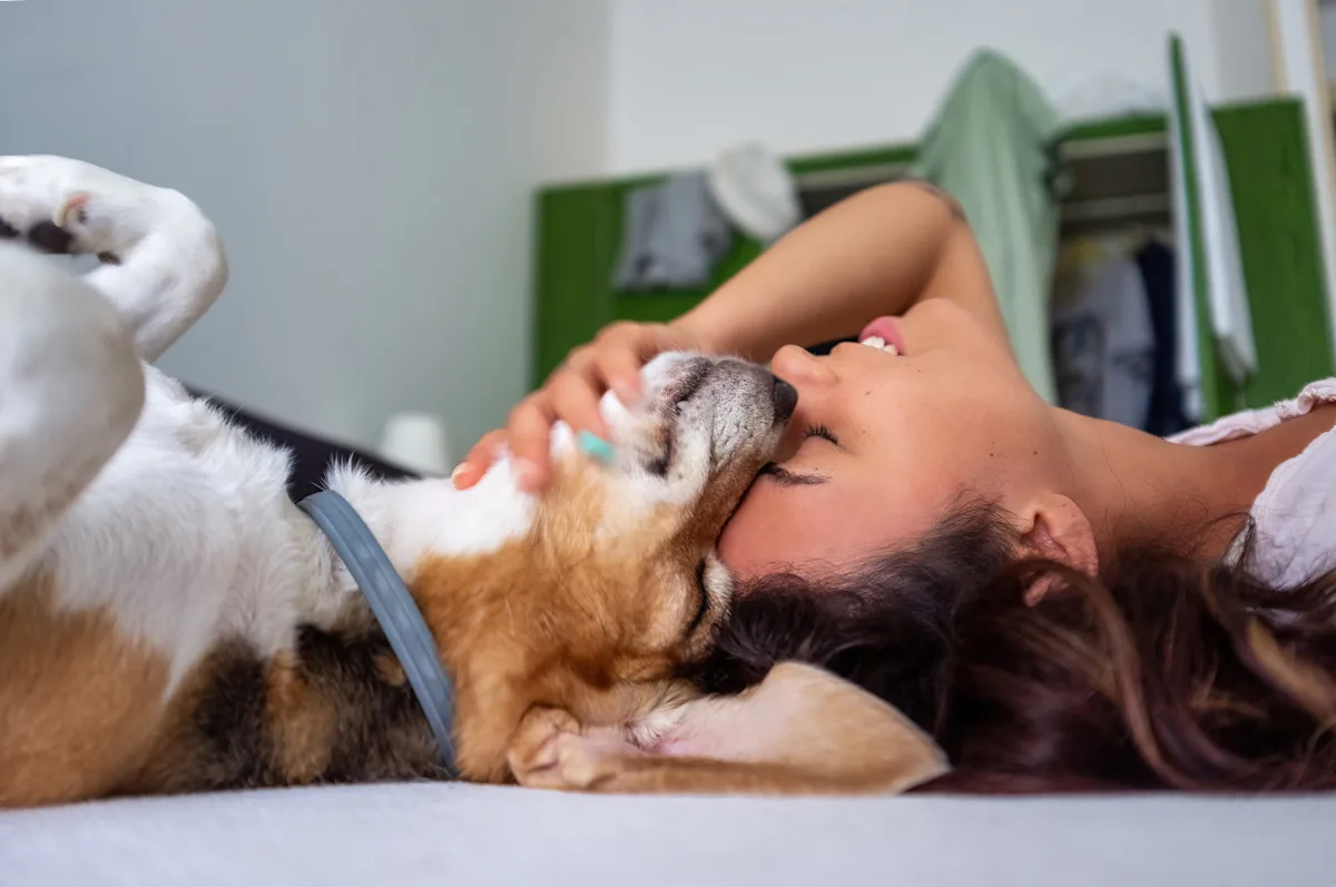 Which Dog Matches Your Zodiac Sign? A Fun Guide to Picking a Pup That Fits Your Lifestyle