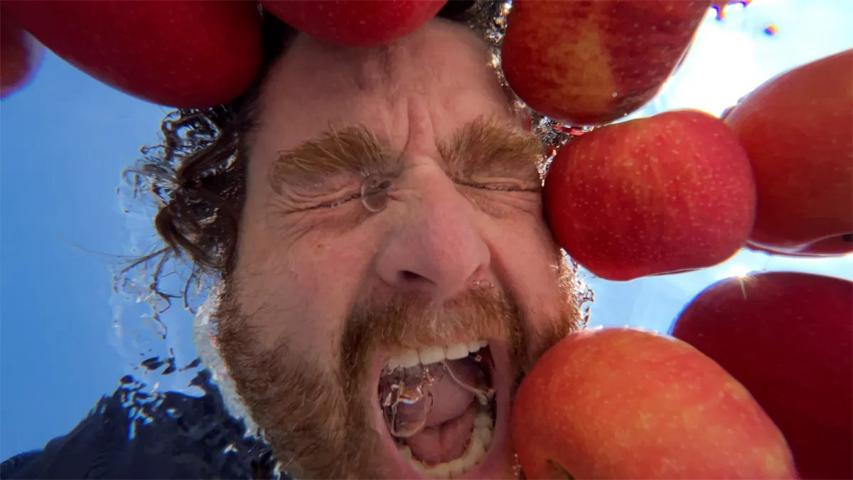 7 New Movies and Shows to Stream This Weekend If You Miss the Thrill of Live Shows