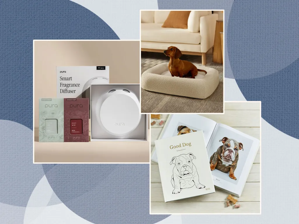 33 Genuinely Useful Gifts for Dog Lovers That Go Beyond Basic Toys and Treats