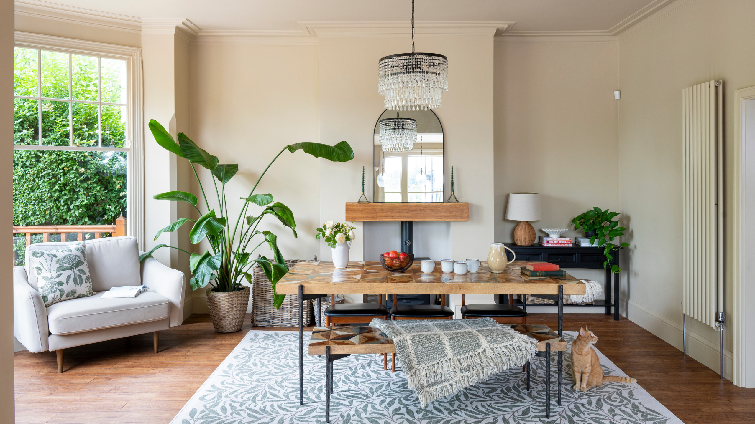 Are Your Cleaning Sprays Killing Your Houseplants? How To Tidy Up Without Harming Your Indoor Jungle