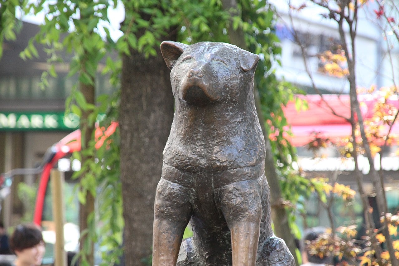 18 Legendary Dogs Who Changed History (and the Breeds Behind Them)